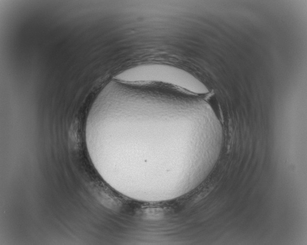 X0000082140228200702162151