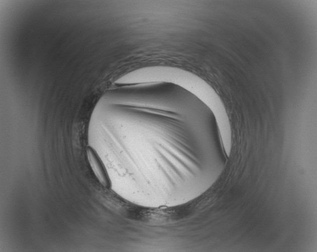 X0000082140229200702162151