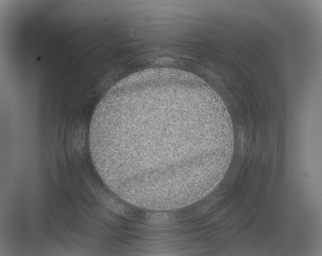 X0000082140230200702162151