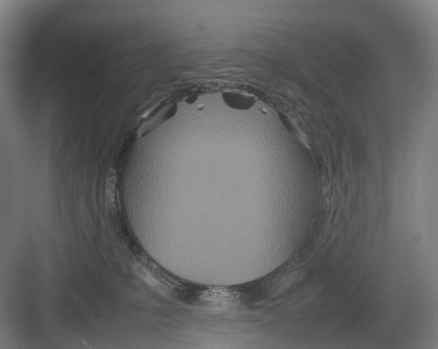 X0000082140231200702162151