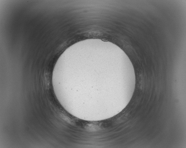 X0000082140232200702162151