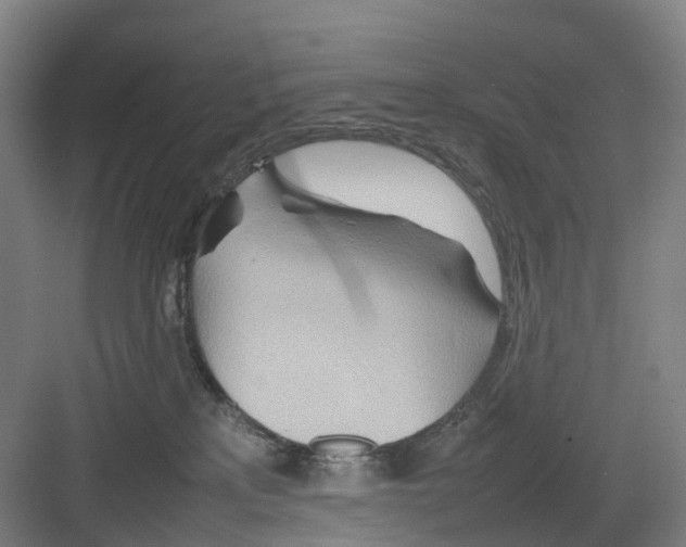 X0000082140233200702162151