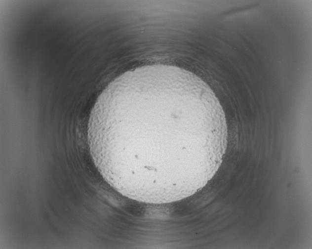 X0000082140234200702162151