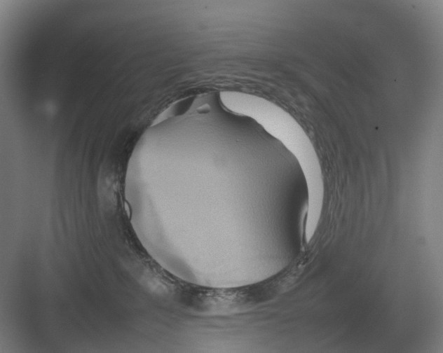 X0000082140235200702162151