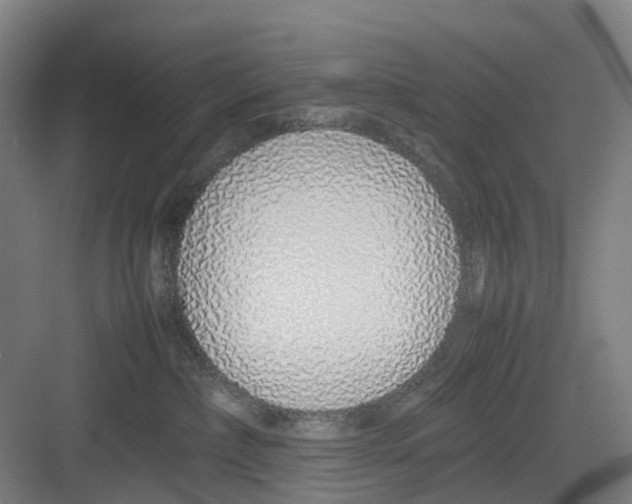 X0000082140236200702162151