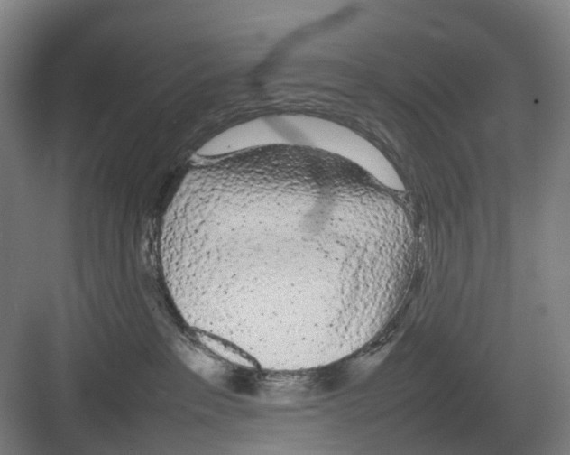 X0000082140237200702162151