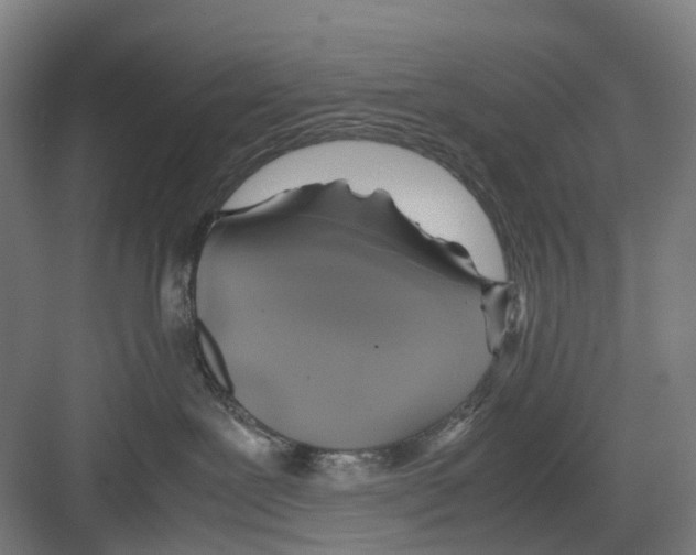 X0000082140239200702162151