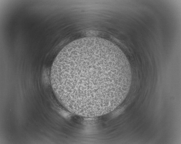 X0000082140240200702162151