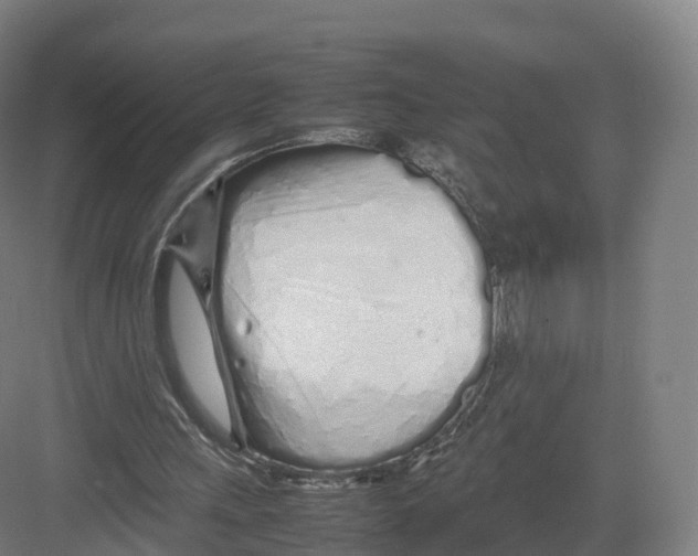 X0000082140243200702162150