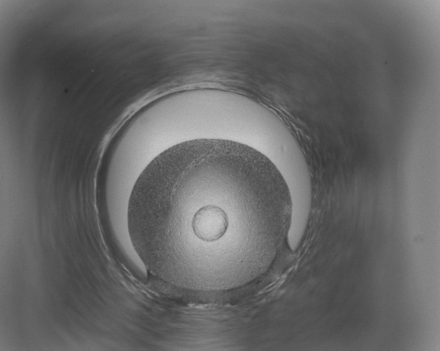 X0000082140244200702162150