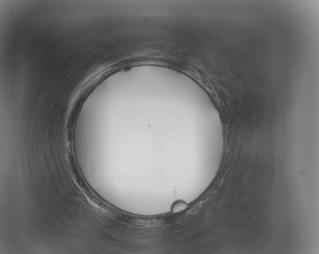 X0000082140245200702162150