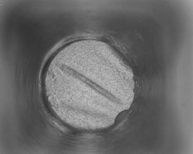 X0000082140246200702162150