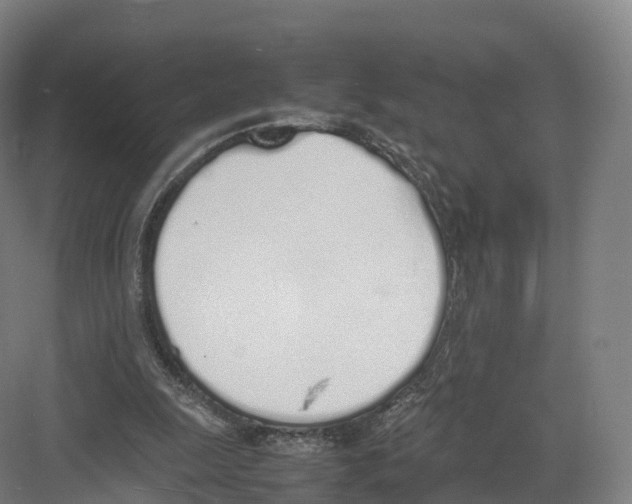 X0000082140247200702162150