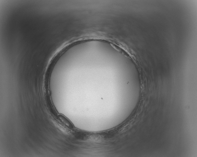 X0000082140248200702162150