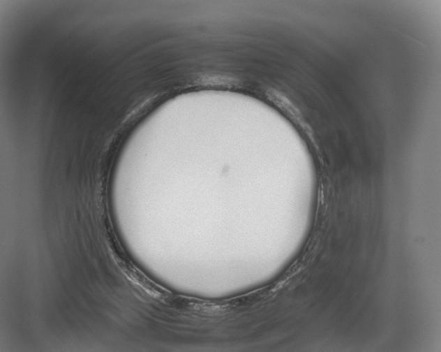 X0000082140249200702162150