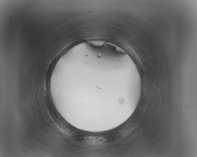 X0000082140251200702162150