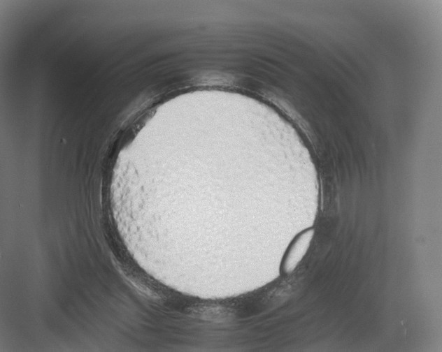 X0000082140253200702162150