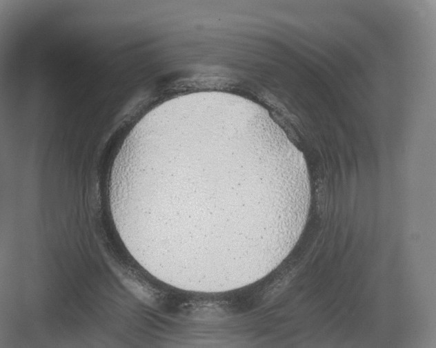 X0000082140254200702162150