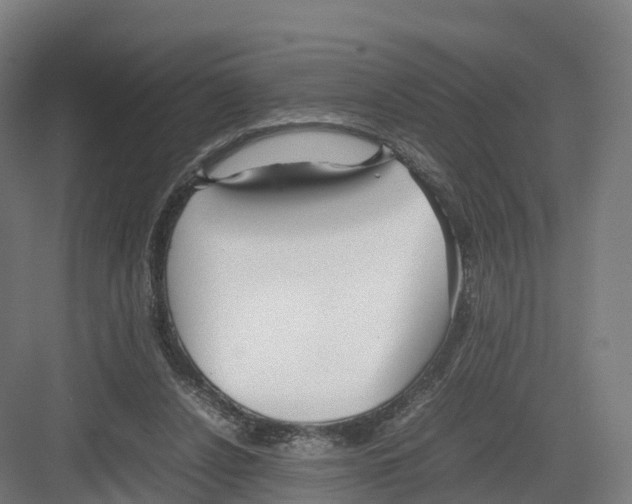 X0000082140256200702162150