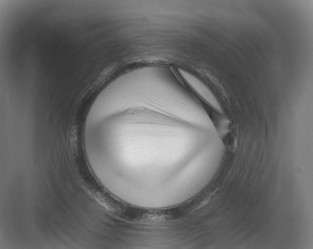 X0000082140260200702162150