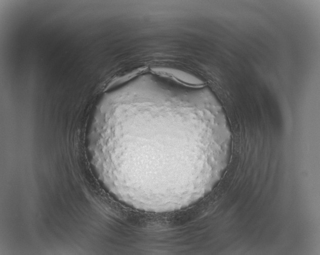 X0000082140263200702162150