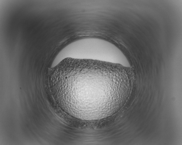 X0000082140264200702162150