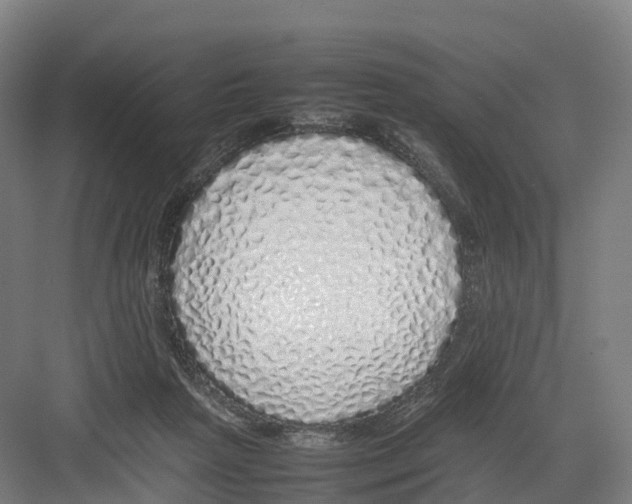 X0000082140265200702162150