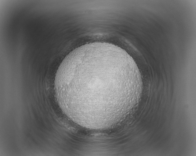 X0000082140268200702162150