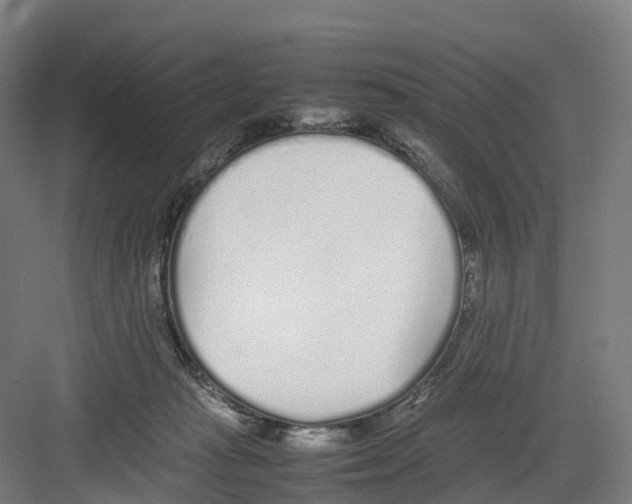 X0000082140269200702162150