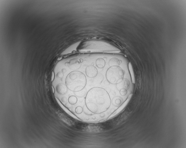 X0000082140270200702162150