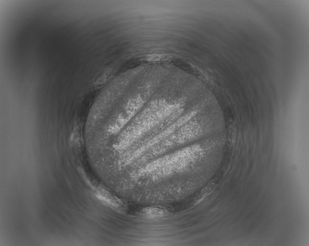 X0000082140272200702162150