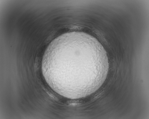 X0000082140273200702162150