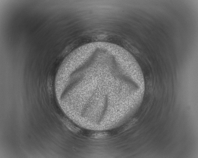 X0000082140274200702162150