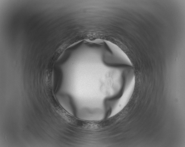 X0000082140276200702162150