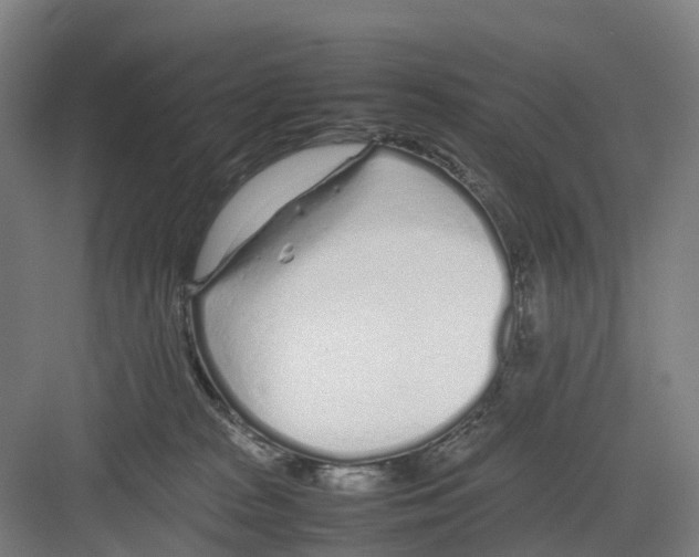 X0000082140277200702162150