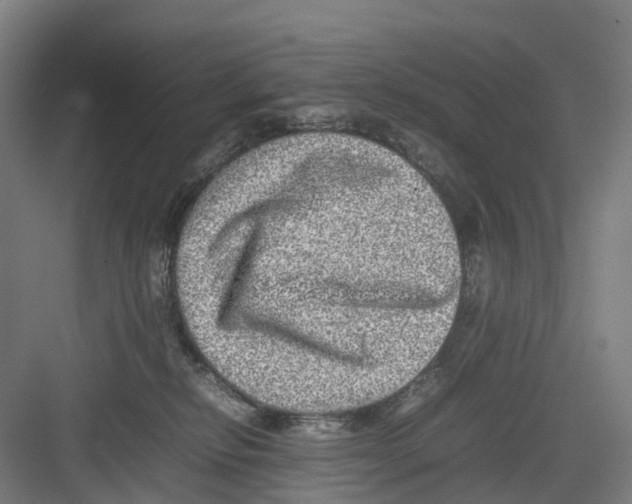 X0000082140278200702162150