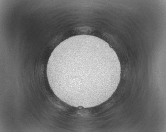 X0000082140279200702162150