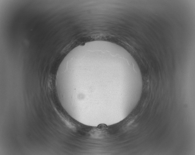 X0000082140280200702162150