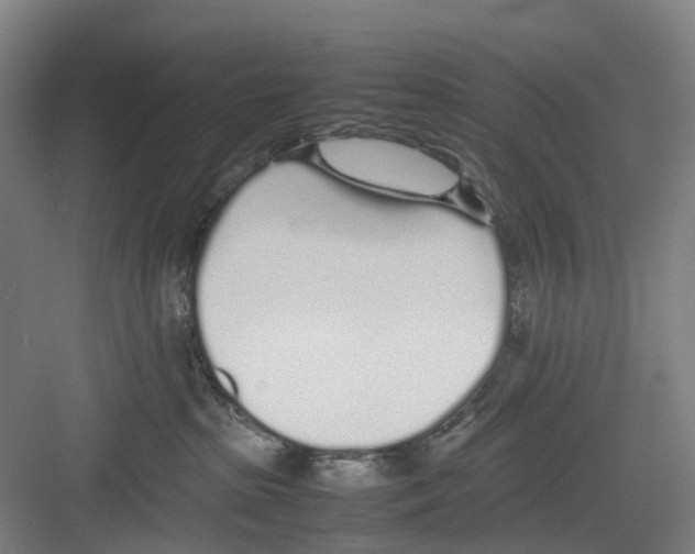 X0000082140285200702162150