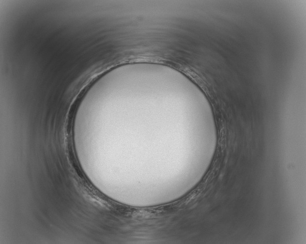 X0000082140290200702162150