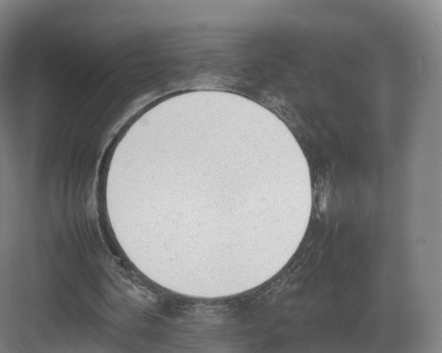 X0000082140292200702162150