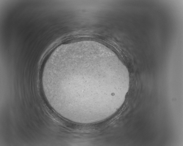 X0000082140293200702162150