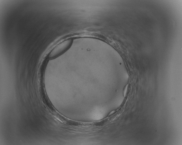 X0000082140295200702162150