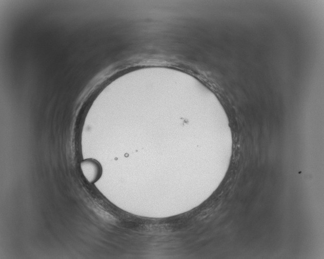 X0000082140296200702162150