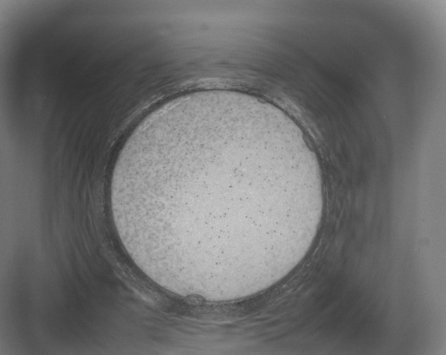 X0000082140297200702162150