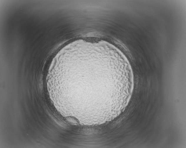 X0000082140298200702162150