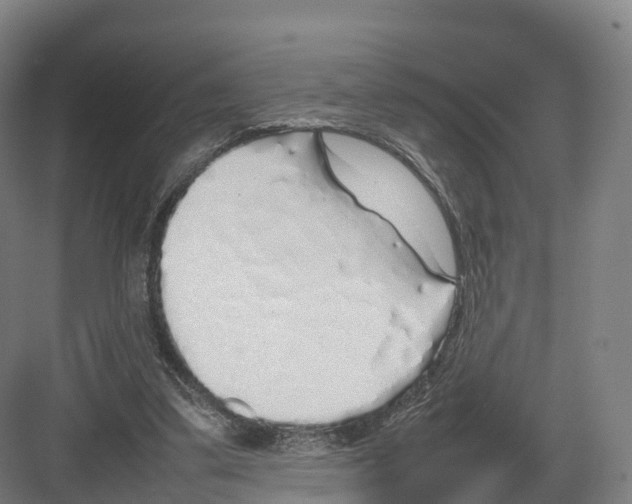 X0000082140299200702162150