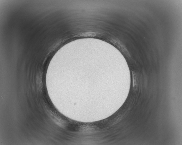 X0000082140300200702162150