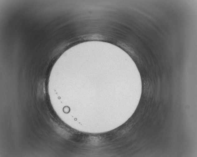 X0000082140302200702162149