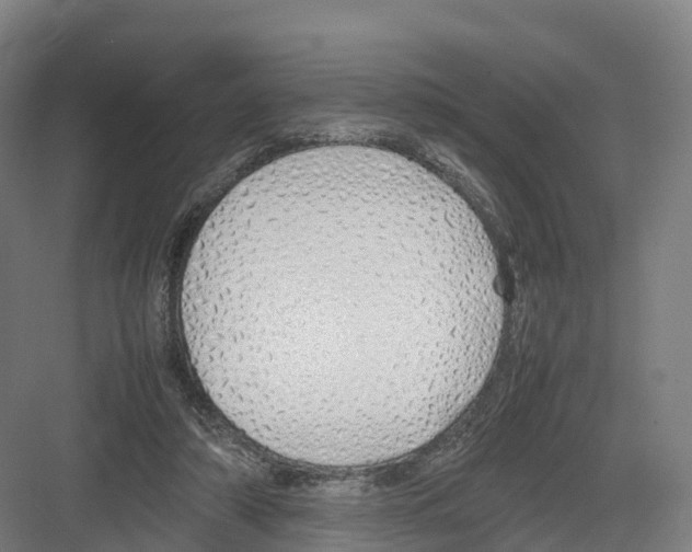 X0000082140306200702162149